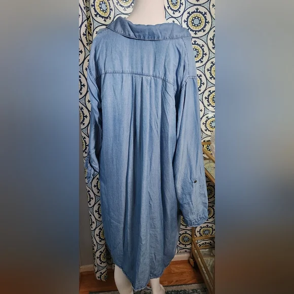 Terra & Sky Lyocell Dress - Picture 2 of 2